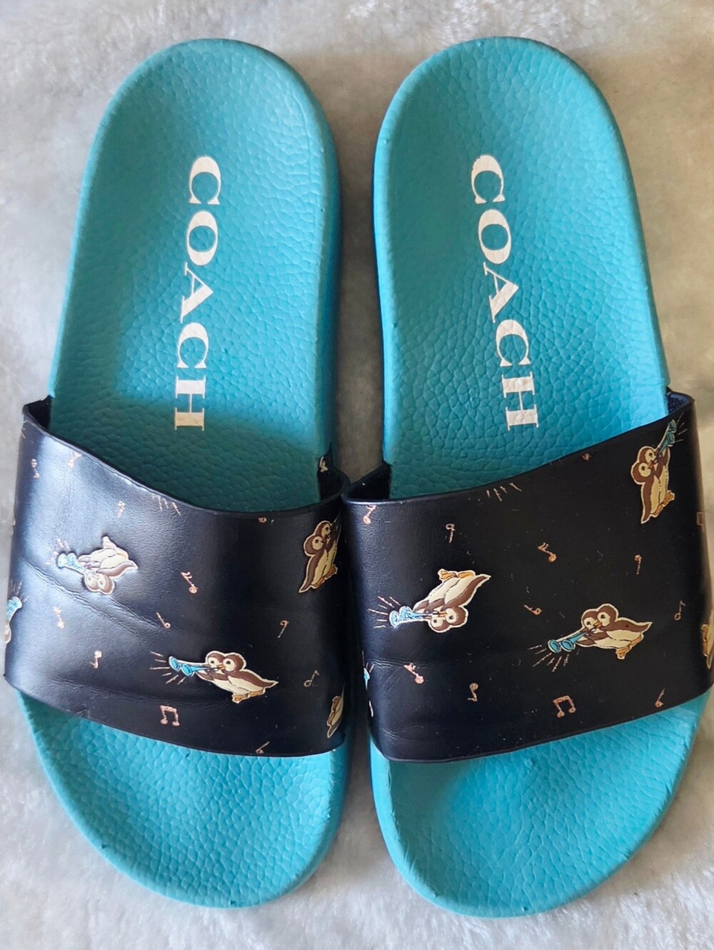 Coach Turquoise and Black Slide Sandals with Owl Motif